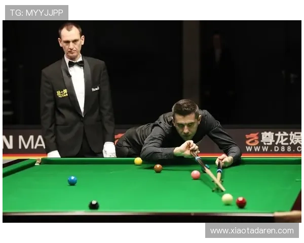 尊龙体育平台：全面解析其优势与特色，助你轻松赢在体育博彩领域