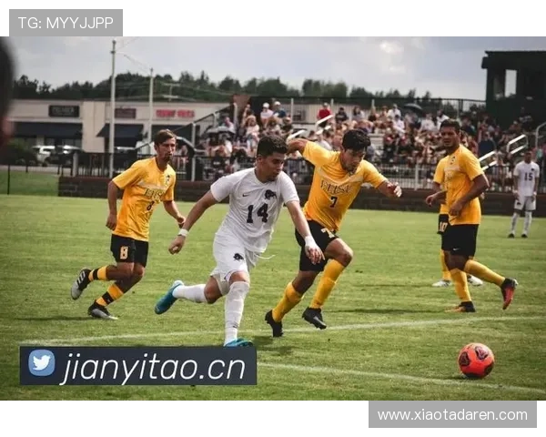 尊龙凯时平台是干嘛的:介绍平台的特色功能和用户体验提升策略 尊龙凯时平台是干嘛的:介绍平台的特色功能和用户体验提升策略