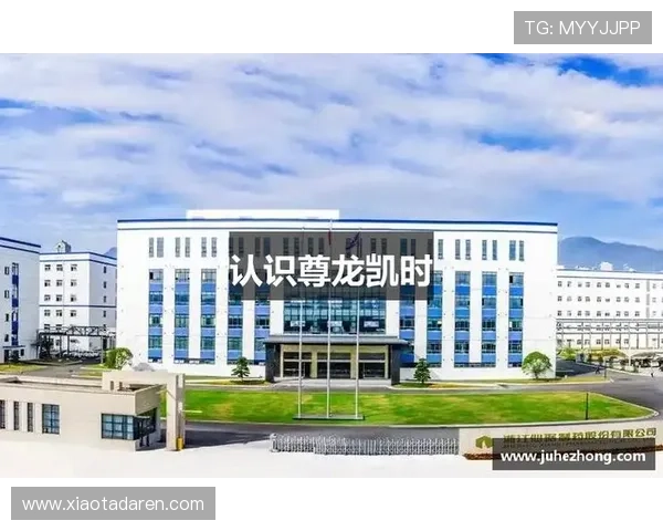 凯时尊龙官方网站安全可靠登录指南保障玩家账号信息安全与游戏顺畅体验 凯时尊龙官方网站安全可靠登录指南保障玩家账号信息安全与游戏顺畅体验