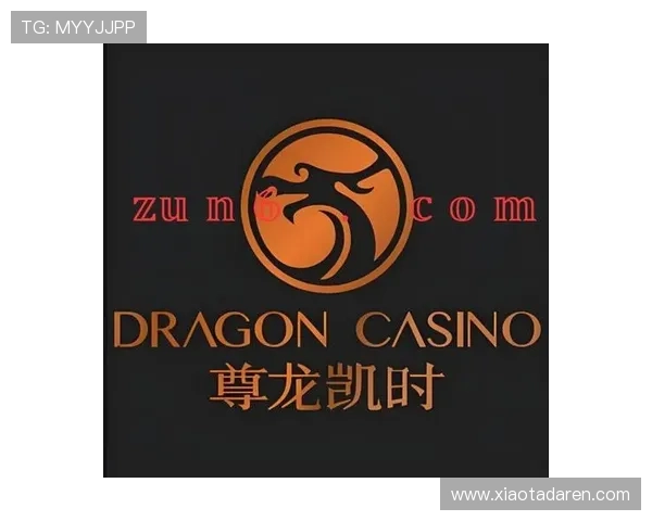 尊龙凯时人生就是博首页介绍丰富多样的游戏类型满足不同玩家的娱乐需求